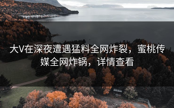 大V在深夜遭遇猛料全网炸裂，蜜桃传媒全网炸锅，详情查看