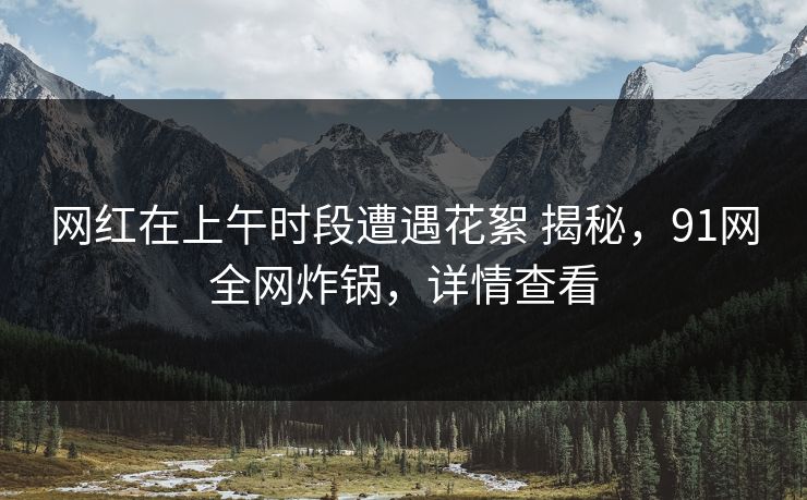 网红在上午时段遭遇花絮 揭秘，91网全网炸锅，详情查看